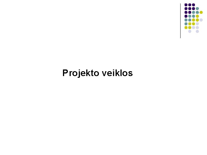 Projekto veiklos 