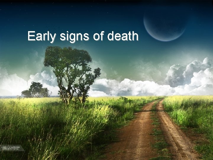 Early signs of death 