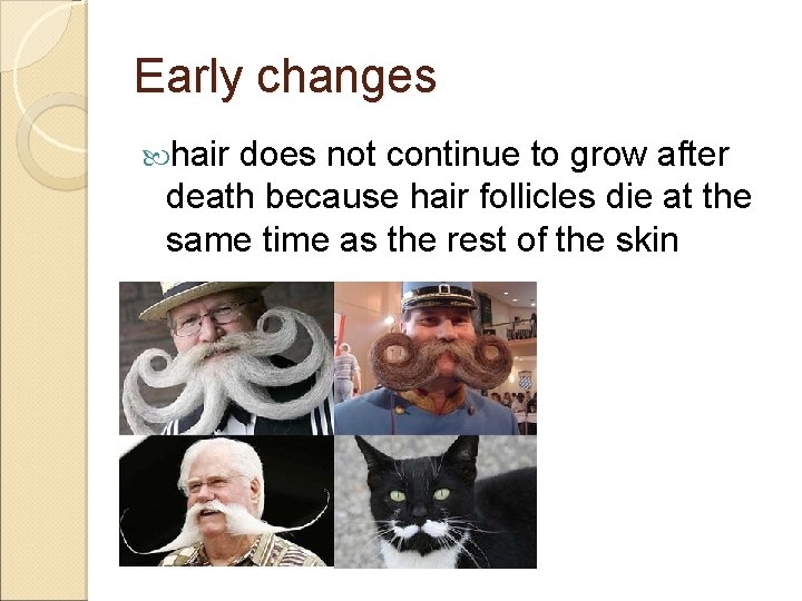 Early changes hair does not continue to grow after death because hair follicles die