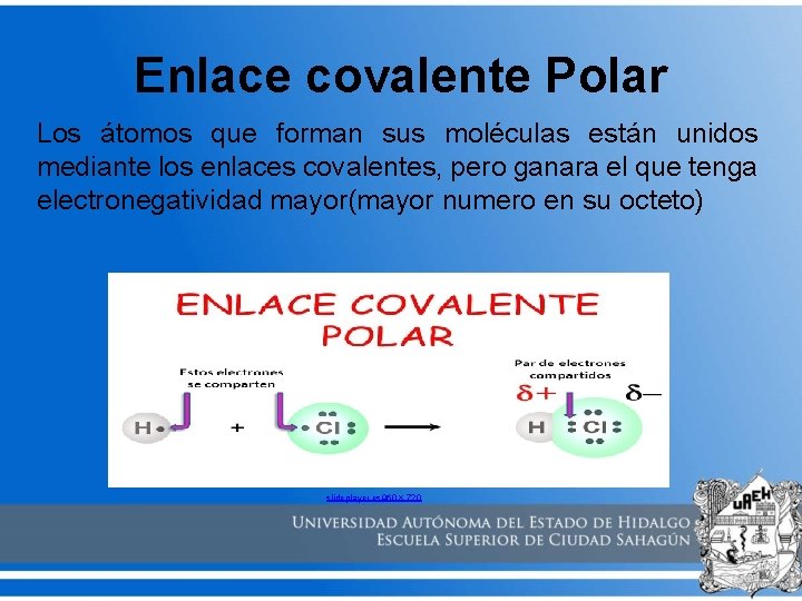 Enlace covalente Polar Los átomos que forman sus moléculas están unidos mediante los enlaces
