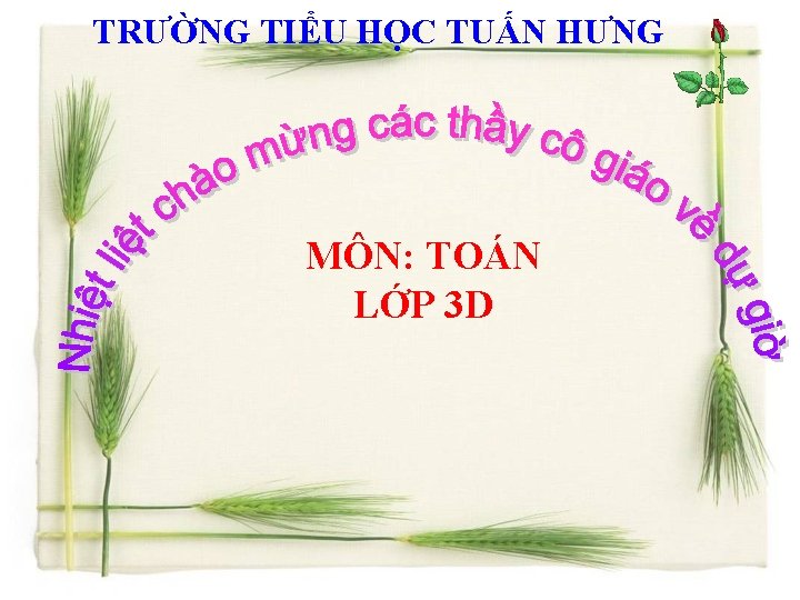 TRƯỜNG TIỂU HỌC TUẤN HƯNG MÔN: TOÁN LỚP 3 D 