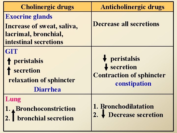 Cholinergic drugs Exocrine glands Increase of sweat, saliva, lacrimal, bronchial, intestinal secretions GIT peristalsis