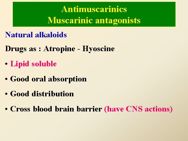 Antimuscarinics Muscarinic antagonists Natural alkaloids Drugs as : Atropine - Hyoscine • Lipid soluble