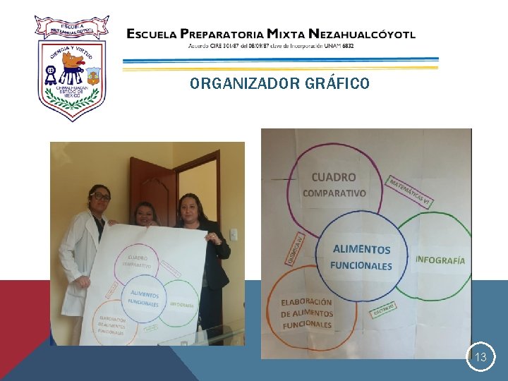 ORGANIZADOR GRÁFICO 13 