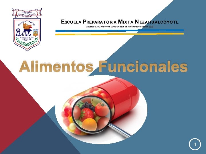 Alimentos Funcionales 4 