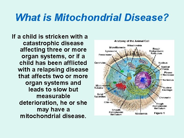 What is Mitochondrial Disease? If a child is stricken with a catastrophic disease affecting