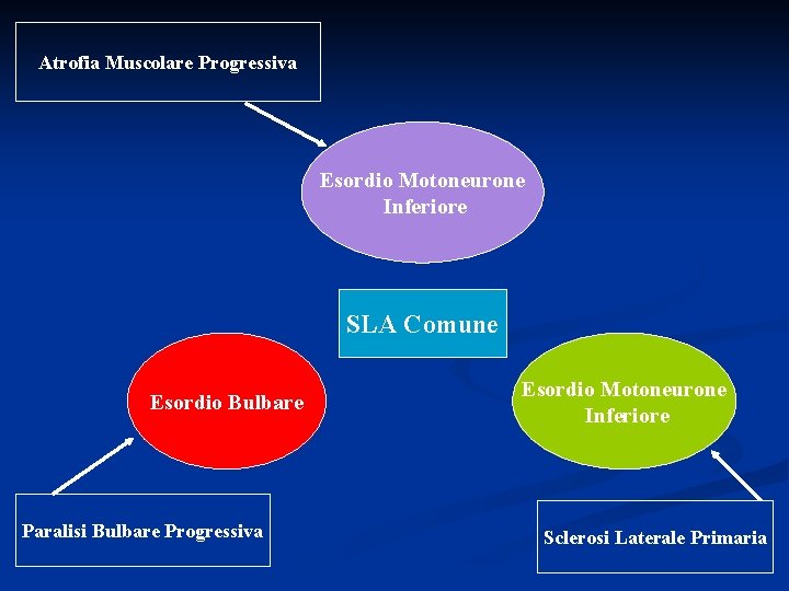 Atrofia Muscolare Progressiva Esordio Motoneurone Inferiore SLA Comune Esordio Bulbare Paralisi Bulbare Progressiva Esordio