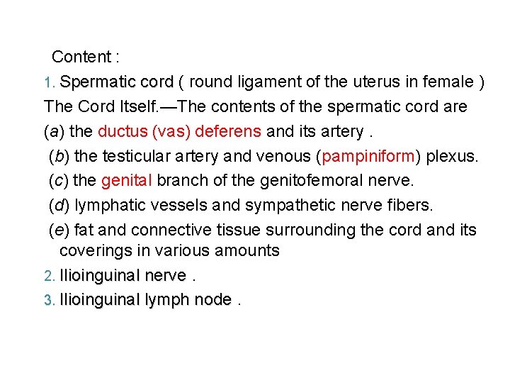  Content : 1. Spermatic cord ( round ligament of the uterus in female