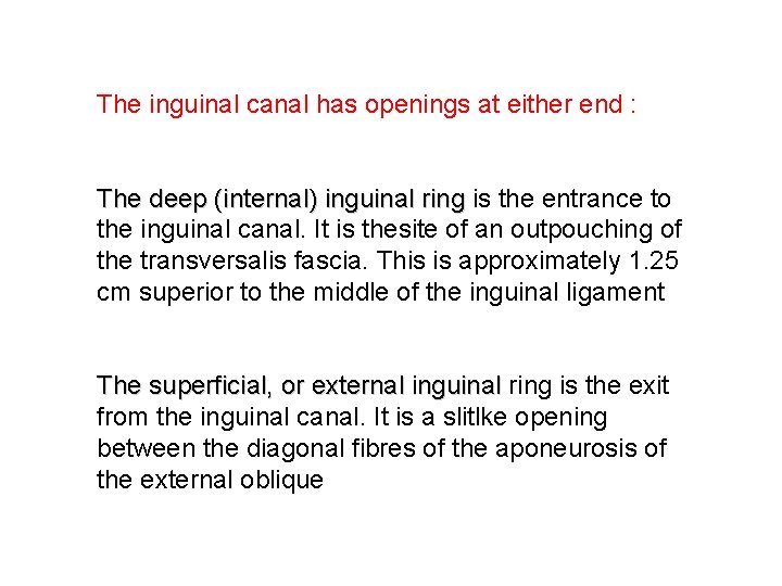 The inguinal canal has openings at either end : The deep (internal) inguinal ring