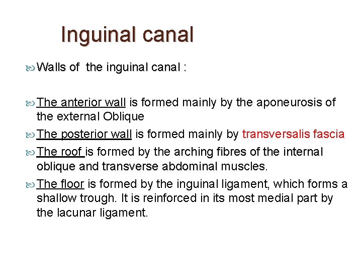 Inguinal canal Walls of the inguinal canal : The anterior wall is formed mainly