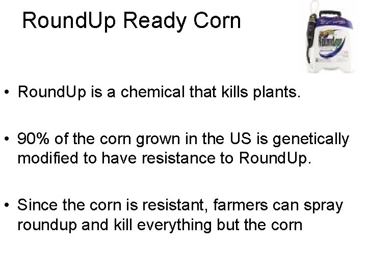 Round. Up Ready Corn • Round. Up is a chemical that kills plants. •