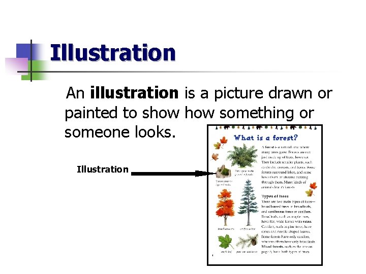 Illustration An illustration is a picture drawn or painted to show something or someone