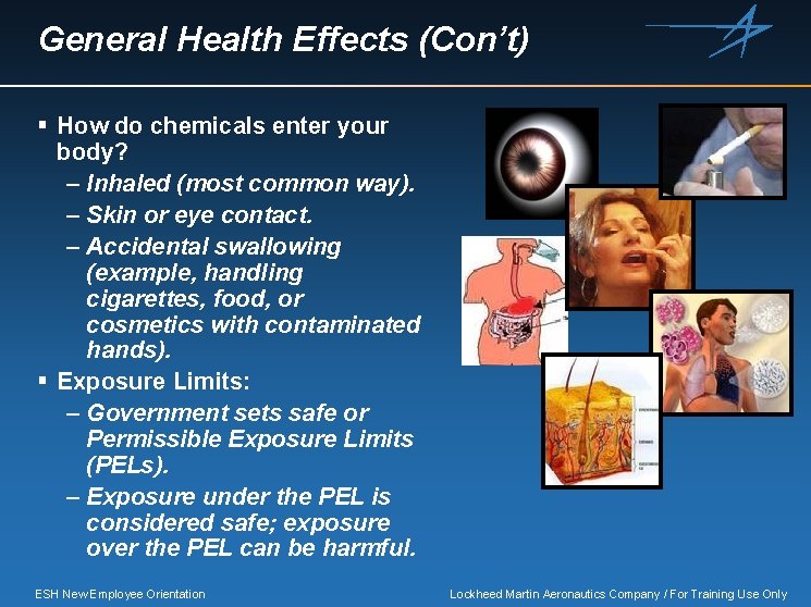 General Health Effects (Con’t) § How do chemicals enter your body? – Inhaled (most
