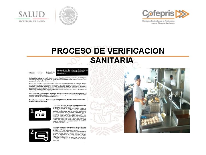 PROCESO DE VERIFICACION SANITARIA 
