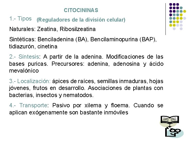 CITOCININAS 1. - Tipos (Reguladores de la división celular) Naturales: Zeatina, Ribosilzeatina Sintéticas: Benciladenina