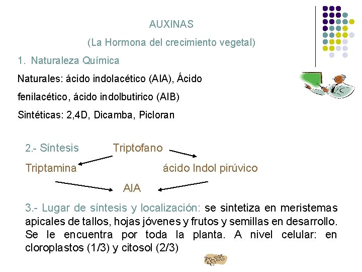AUXINAS (La Hormona del crecimiento vegetal) 1. Naturaleza Química Naturales: ácido indolacético (AIA), Ácido