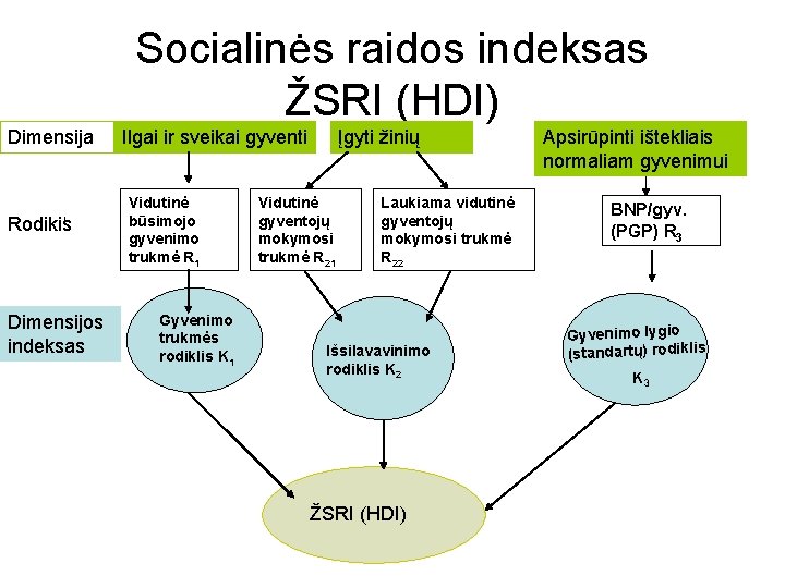 Socialinės raidos indeksas ŽSRI (HDI) Dimensija Rodikis Dimensijos indeksas Ilgai ir sveikai gyventi Vidutinė