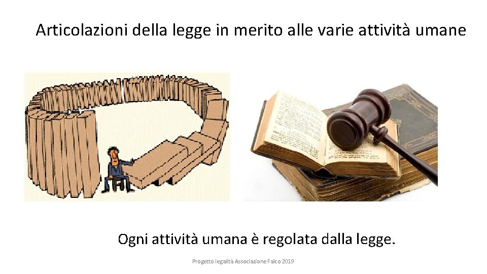 Articolazioni della legge in merito alle varie attività umane Ogni attività umana è regolata