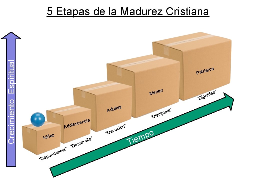 Crecimiento Espiritual 5 Etapas de la Madurez Cristiana rca ia Patr r to Men