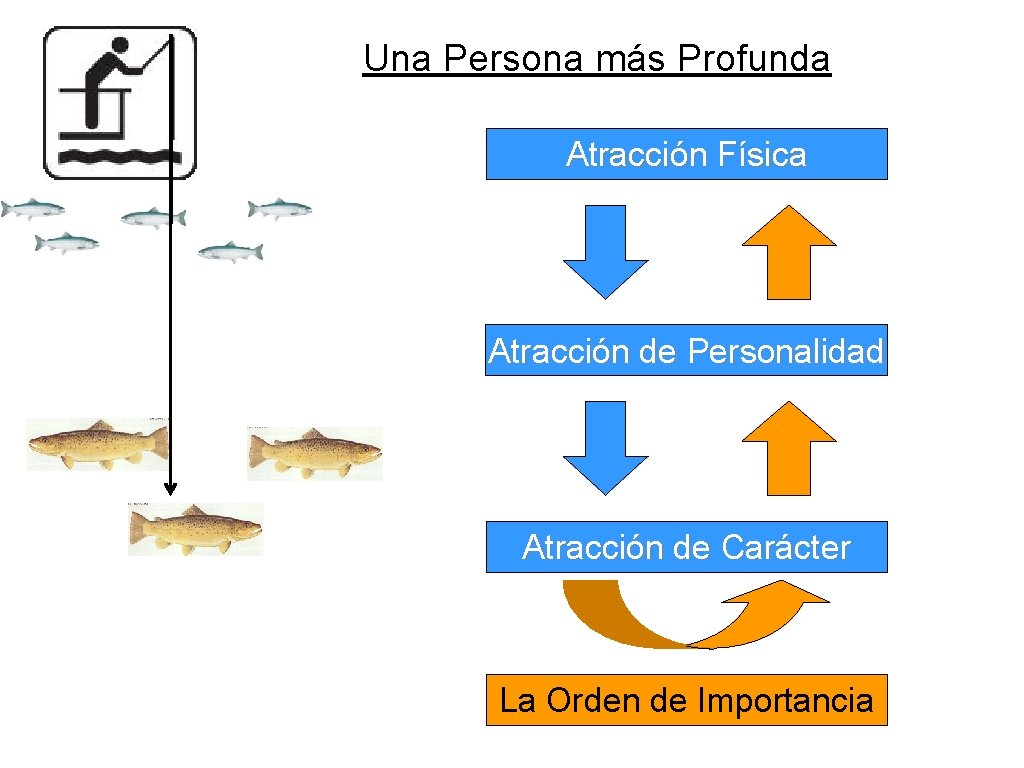 Una Persona más Profunda Atracción Física Atracción de Personalidad Atracción de Carácter La Orden