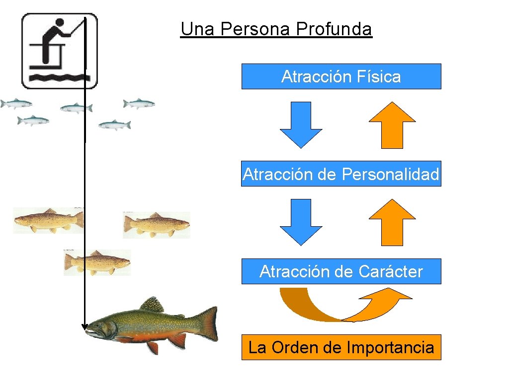 Una Persona Profunda Atracción Física Atracción de Personalidad Atracción de Carácter La Orden de