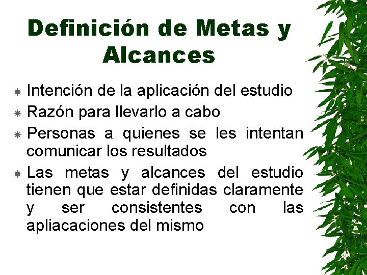 Definición de Metas y Alcances Intención de la aplicación del estudio Razón para llevarlo