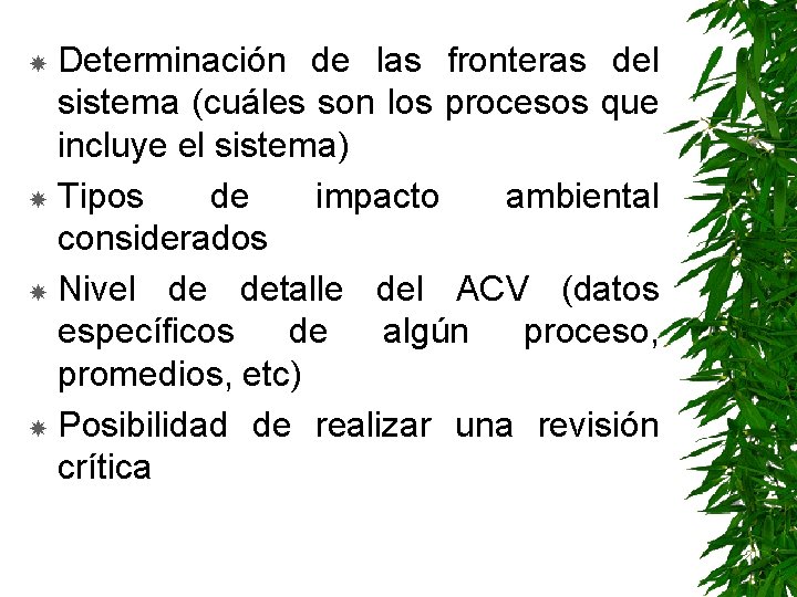 Determinación de las fronteras del sistema (cuáles son los procesos que incluye el sistema)