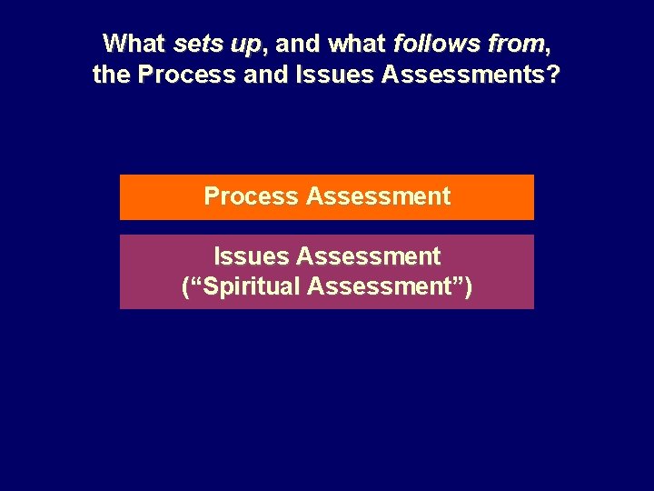 What sets up, and what follows from, the Process and Issues Assessments? Process Assessment