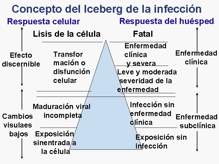 Concepto del Iceberg de la infección Respuesta celular Lisis de la célula Efecto discernible