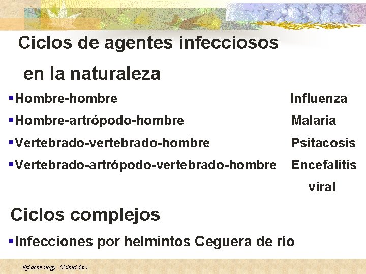 Ciclos de agentes infecciosos en la naturaleza § Hombre-hombre Influenza § Hombre-artrópodo-hombre Malaria §