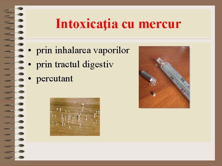 Intoxicaţia cu mercur • prin inhalarea vaporilor • prin tractul digestiv • percutant Intoxicaţia cu mercur • prin inhalarea vaporilor • prin tractul digestiv • percutant