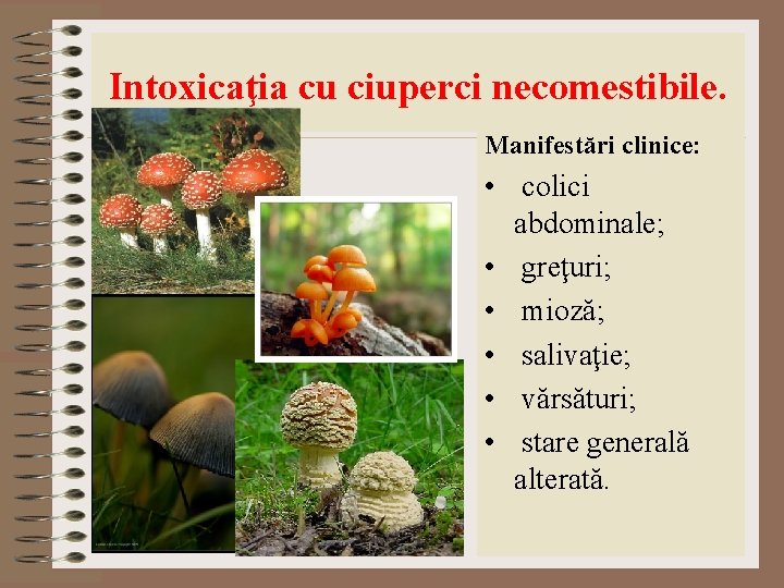 Intoxicaţia cu ciuperci necomestibile. Manifestări clinice: • colici abdominale; • greţuri; • mioză; • Intoxicaţia cu ciuperci necomestibile. Manifestări clinice: • colici abdominale; • greţuri; • mioză; •