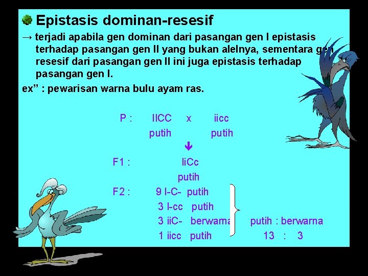 Epistasis dominan-resesif → terjadi apabila gen dominan dari pasangan gen I epistasis terhadap pasangan