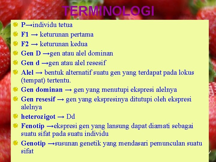 TERMINOLOGI P→individu tetua F 1 → keturunan pertama F 2 → keturunan kedua Gen