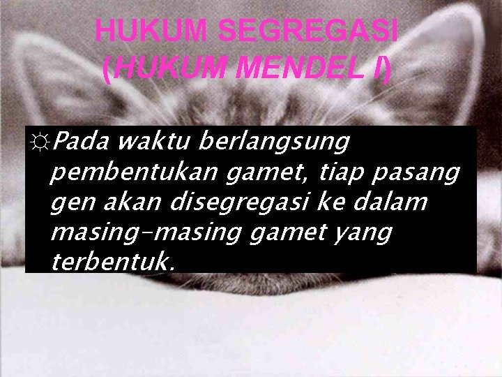 HUKUM SEGREGASI (HUKUM MENDEL I) ☼Pada waktu berlangsung pembentukan gamet, tiap pasang gen akan