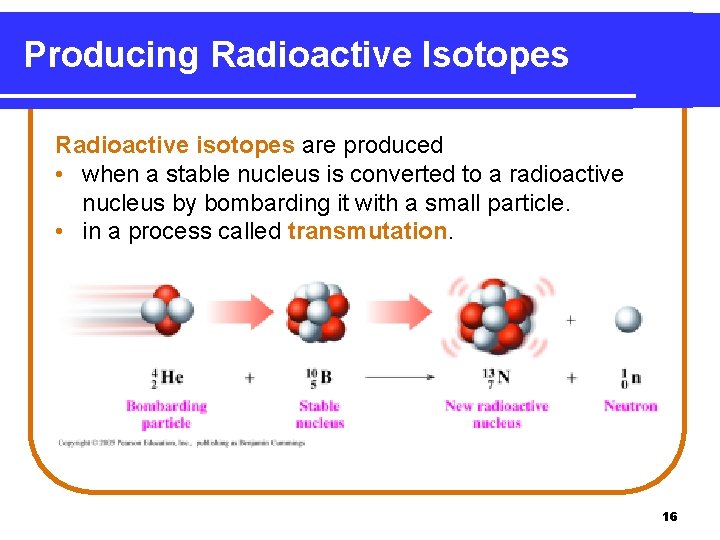 Producing Radioactive Isotopes Radioactive isotopes are produced • when a stable nucleus is converted