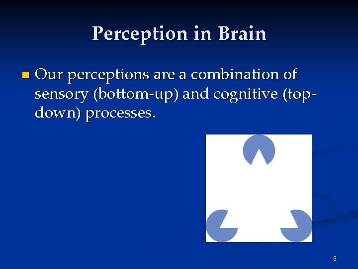 Perception in Brain n Our perceptions are a combination of sensory (bottom-up) and cognitive