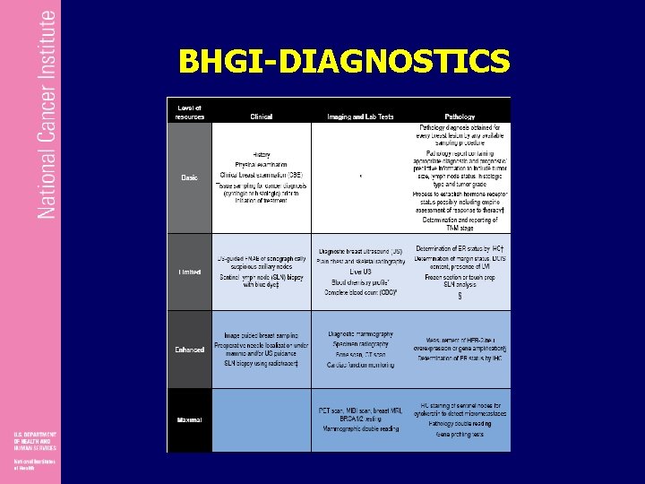 BHGI-DIAGNOSTICS 