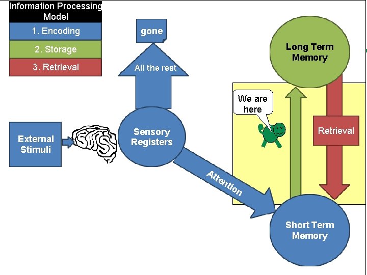 Information Processing Model 1. Encoding gone Long Term Memory 2. Storage 3. Retrieval All