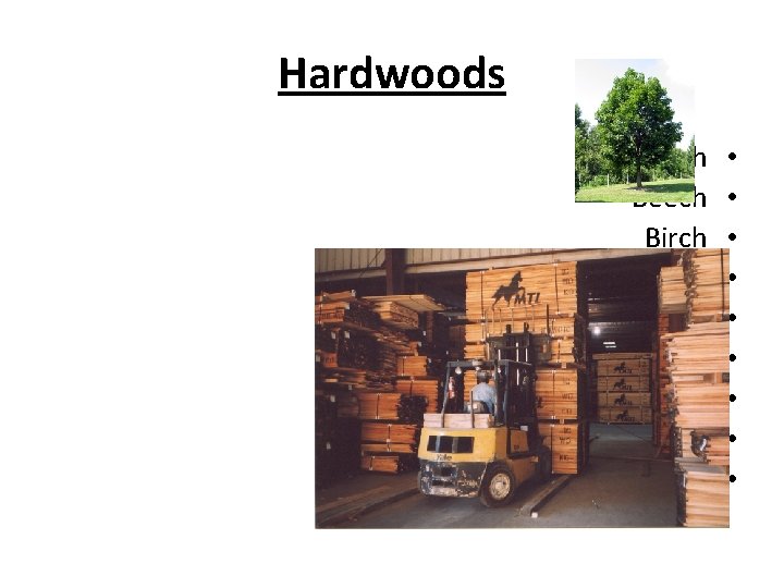 Hardwoods Ash Beech Birch Cherry Mahogany Maple Oak Poplar walnut • • • 