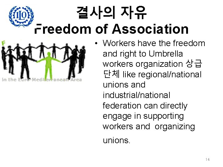 결사의 자유 Freedom of Association • Workers have the freedom and right to Umbrella