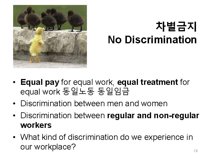 차별금지 No Discrimination • Equal pay for equal work, equal treatment for equal work