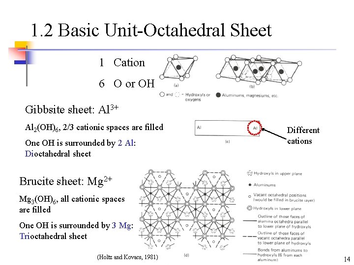 1. 2 Basic Unit-Octahedral Sheet 1 Cation 6 O or OH Gibbsite sheet: Al 1. 2 Basic Unit-Octahedral Sheet 1 Cation 6 O or OH Gibbsite sheet: Al
