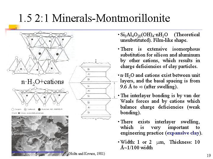 1. 5 2: 1 Minerals-Montmorillonite • Si 8 Al 4 O 20(OH)4·n. H 2 1. 5 2: 1 Minerals-Montmorillonite • Si 8 Al 4 O 20(OH)4·n. H 2