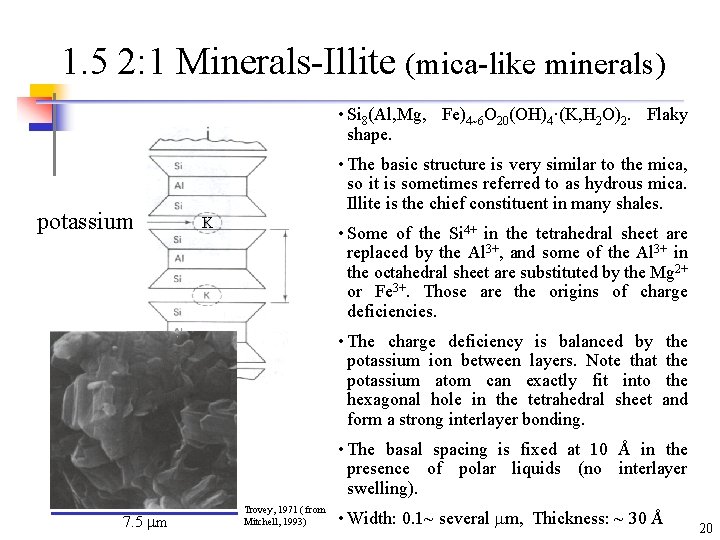1. 5 2: 1 Minerals-Illite (mica-like minerals) • Si 8(Al, Mg, Fe)4~6 O 20(OH)4·(K, 1. 5 2: 1 Minerals-Illite (mica-like minerals) • Si 8(Al, Mg, Fe)4~6 O 20(OH)4·(K,