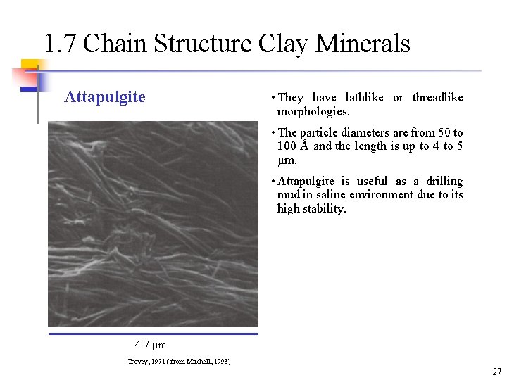 1. 7 Chain Structure Clay Minerals Attapulgite • They have lathlike or threadlike morphologies. 1. 7 Chain Structure Clay Minerals Attapulgite • They have lathlike or threadlike morphologies.