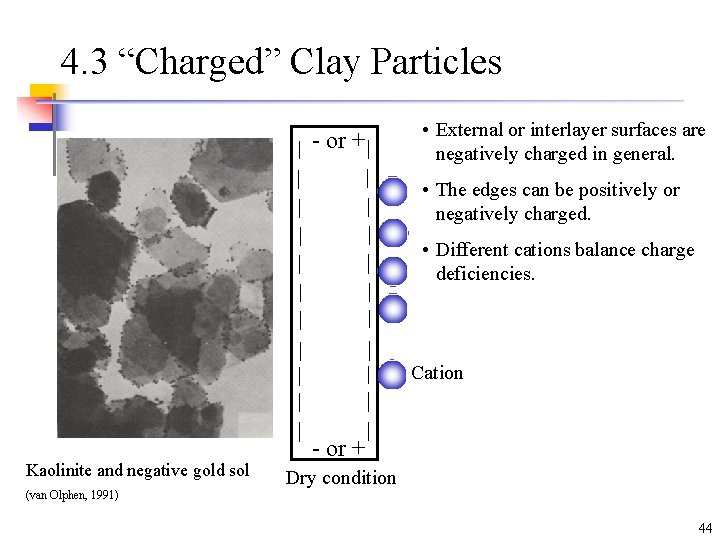 4. 3 “Charged” Clay Particles - or + • External or interlayer surfaces are 4. 3 “Charged” Clay Particles - or + • External or interlayer surfaces are