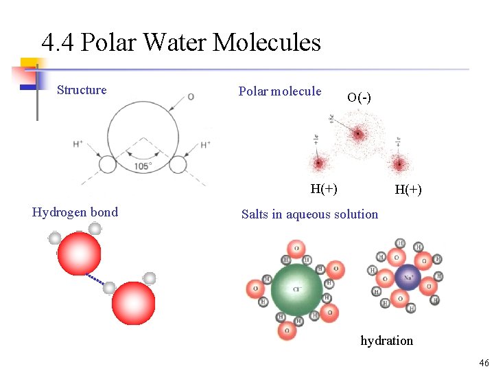 4. 4 Polar Water Molecules Structure Polar molecule O(-) H(+) Hydrogen bond H(+) Salts 4. 4 Polar Water Molecules Structure Polar molecule O(-) H(+) Hydrogen bond H(+) Salts