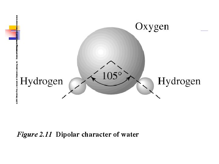 Figure 2. 11 Dipolar character of water (c)2001 Brooks/Cole, a division of Thomson Learning, Figure 2. 11 Dipolar character of water (c)2001 Brooks/Cole, a division of Thomson Learning,