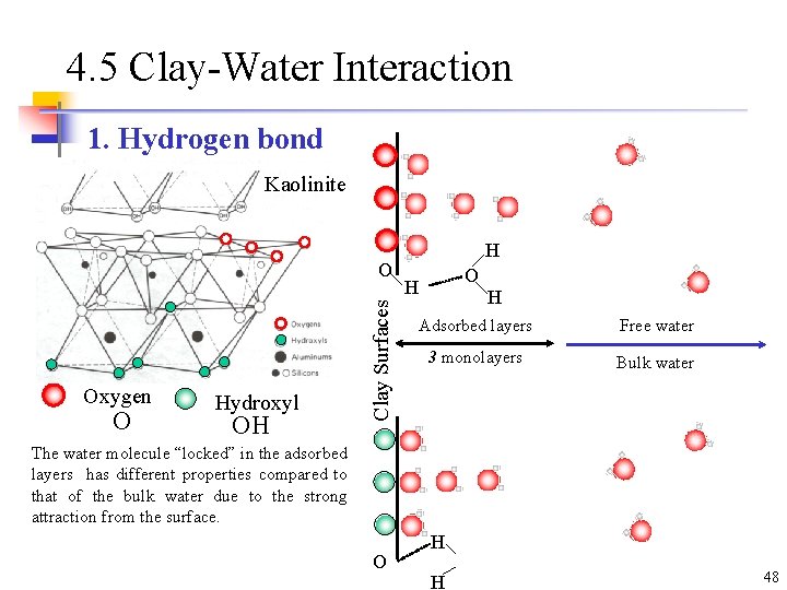 4. 5 Clay-Water Interaction 1. Hydrogen bond Kaolinite Oxygen O Hydroxyl OH Clay Surfaces 4. 5 Clay-Water Interaction 1. Hydrogen bond Kaolinite Oxygen O Hydroxyl OH Clay Surfaces